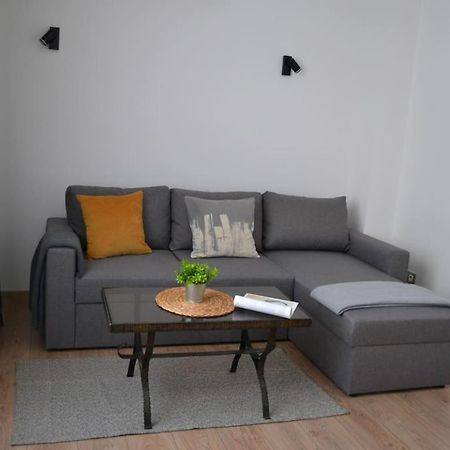 Modern City Center 2 Bedroom Apartment Sofia Exterior photo