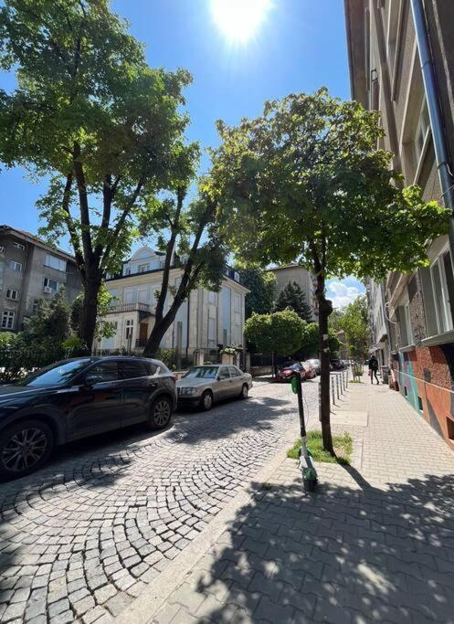 Modern City Center 2 Bedroom Apartment Sofia Exterior photo